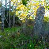 Un luogo che, tra altri cippi in pietra che paiono menhir, gode della presenza di falchi grillai, gheppi e pappagalli 